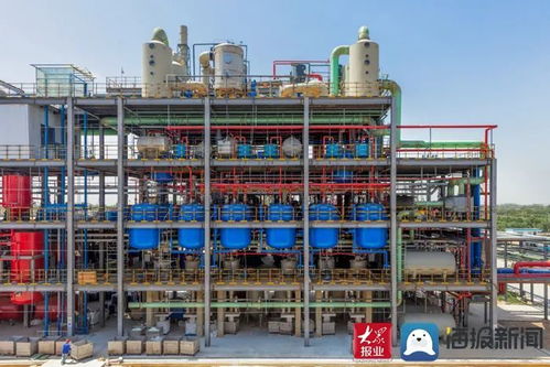 申請國家專利26項 成武縣晨暉環(huán)?？萍脊井a(chǎn)品總量占國內的70