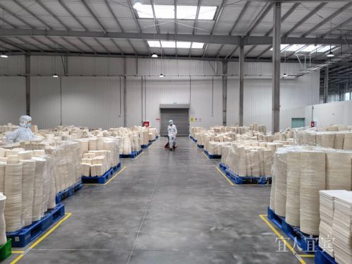 看宜路精彩丨興文 打造優(yōu)良營商環(huán)境 賦能竹產業(yè)發(fā)展