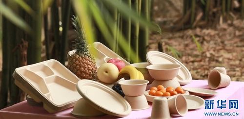 七十二變，竹產業拔節向上——環?？萍假x能傳統產業煥新